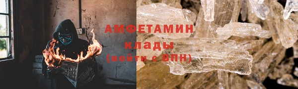 индика Няндома