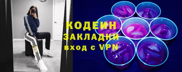 индика Няндома
