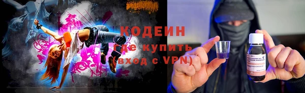 индика Няндома
