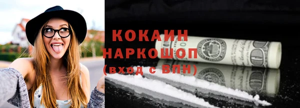 индика Няндома