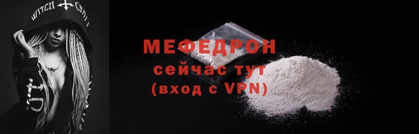 индика Няндома