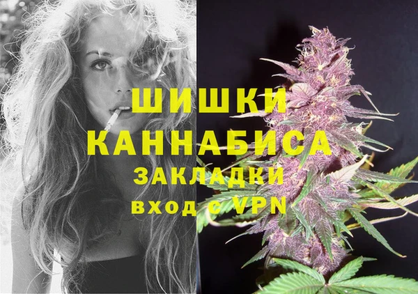 сатива Нягань