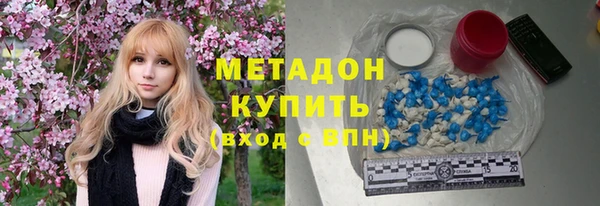 индика Няндома