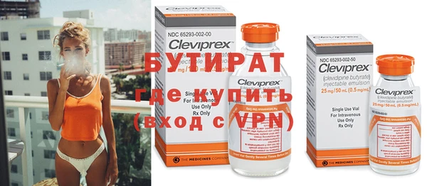 индика Няндома