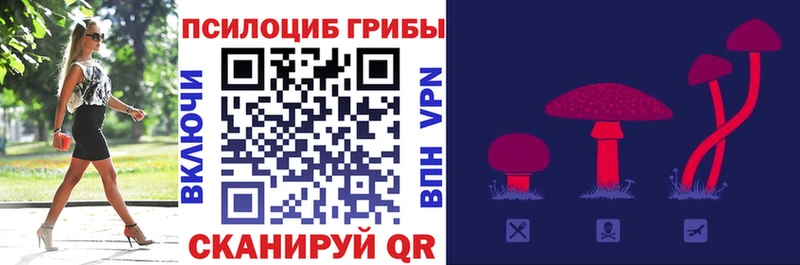 купить Рославль Псилоцибиновые грибы мицелий