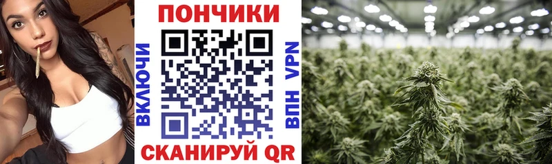 Каннабис MAZAR  Рославль 